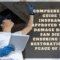 Insurance-Approved Water Damage Repair San Diego: Professional team conducting water damage repair in a flooded San Diego home.