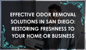 Technician performing professional odor removal San Diego treatment using advanced equipment