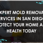 Mold Removal San Diego: Professional mold removal technician inspecting a San Diego home for mold with specialized equipment