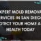 Mold Removal San Diego: Professional mold removal technician inspecting a San Diego home for mold with specialized equipment