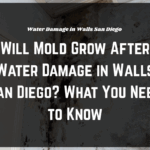 Damaged drywall with mold caused by water damage in walls San Diego